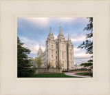 Salt Lake Temple Spring Serenity