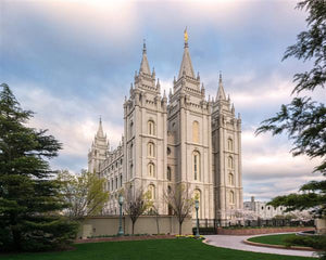 Salt Lake Temple Spring Serenity