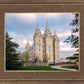 Salt Lake Temple Spring Serenity