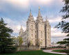 Salt Lake Temple Spring Serenity