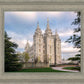 Salt Lake Temple Spring Serenity