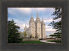 Salt Lake Temple Spring Serenity