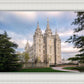 Salt Lake Temple Spring Serenity