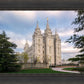 Salt Lake Temple Spring Serenity