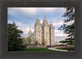 Salt Lake Temple Spring Serenity