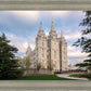 Salt Lake Temple Spring Serenity