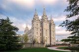 Salt Lake Temple Spring Serenity