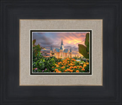 Provo City Center Temple Orange Flowers