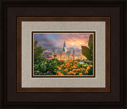 Provo City Center Temple Orange Flowers