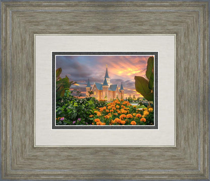 Provo City Center Temple Orange Flowers