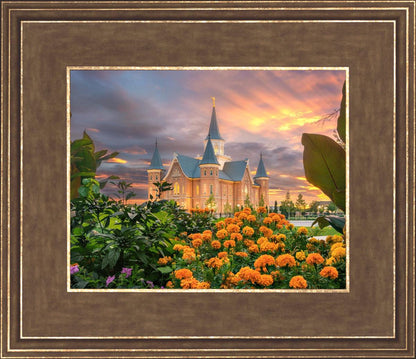 Provo City Center Temple Orange Flowers