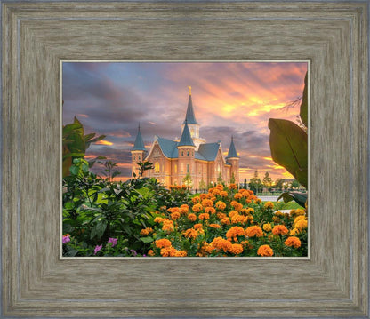 Provo City Center Temple Orange Flowers