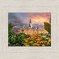 Provo City Center Temple Orange Flowers