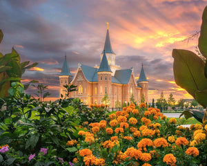 Provo City Center Temple Orange Flowers