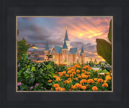 Provo City Center Temple Orange Flowers