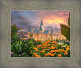 Provo City Center Temple Orange Flowers