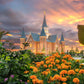 Provo City Center Temple Orange Flowers