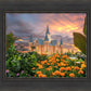 Provo City Center Temple Orange Flowers