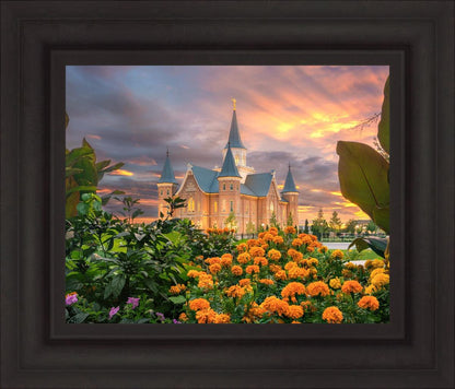 Provo City Center Temple Orange Flowers