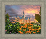 Provo City Center Temple Orange Flowers