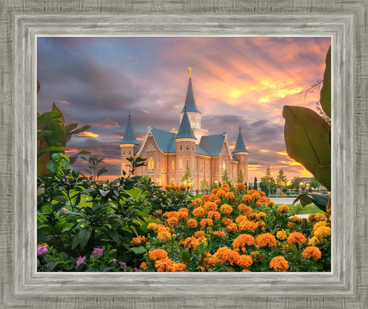 Provo City Center Temple Orange Flowers
