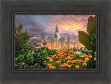 Provo City Center Temple Orange Flowers