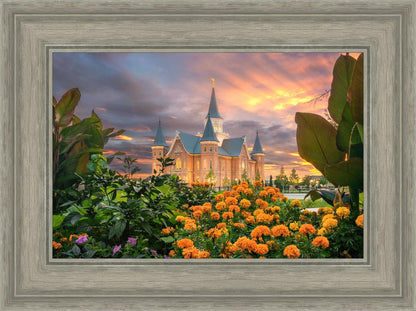 Provo City Center Temple Orange Flowers