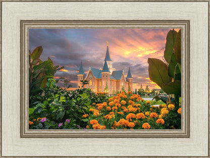 Provo City Center Temple Orange Flowers