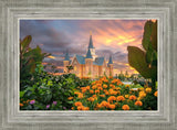 Provo City Center Temple Orange Flowers