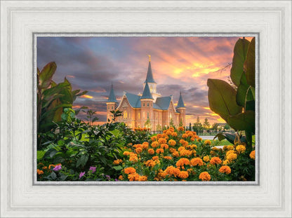 Provo City Center Temple Orange Flowers