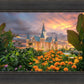 Provo City Center Temple Orange Flowers