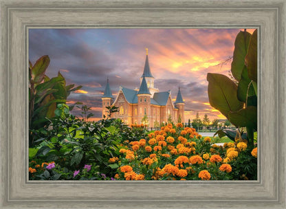 Provo City Center Temple Orange Flowers