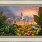 Provo City Center Temple Orange Flowers