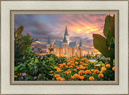 Provo City Center Temple Orange Flowers