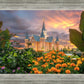 Provo City Center Temple Orange Flowers