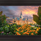 Provo City Center Temple Orange Flowers