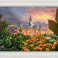 Provo City Center Temple Orange Flowers
