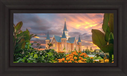 Provo City Center Temple Orange Flowers