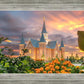 Provo City Center Temple Orange Flowers