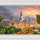 Provo City Center Temple Orange Flowers