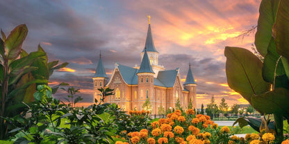 Provo City Center Temple Orange Flowers