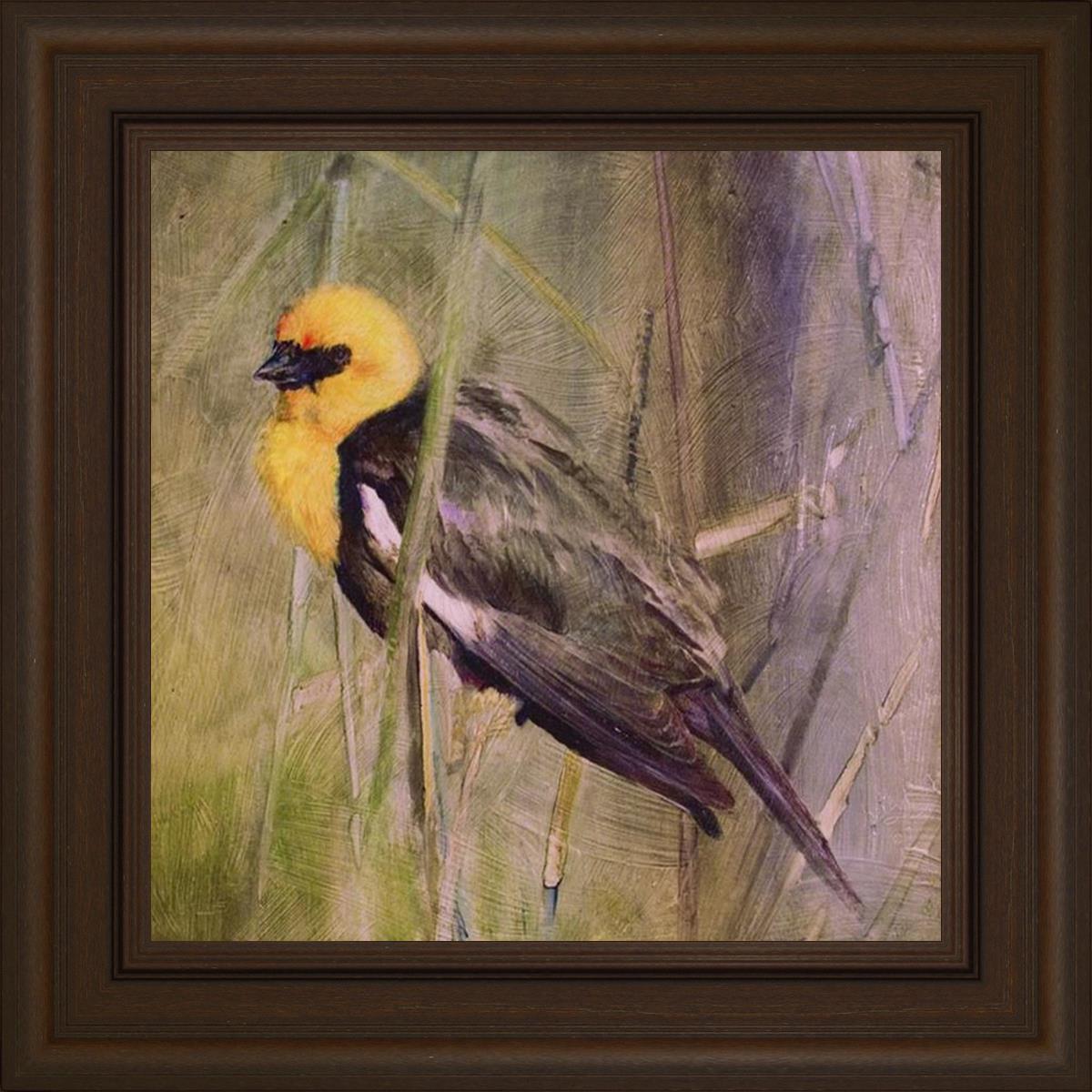 Yellow Headed Black Bird