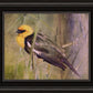 Yellow Headed Black Bird