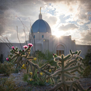 Tucson Brightness and Glory