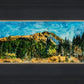Mountain Meadow