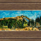 Mountain Meadow