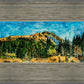 Mountain Meadow