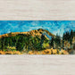 Mountain Meadow