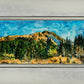 Mountain Meadow