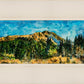 Mountain Meadow